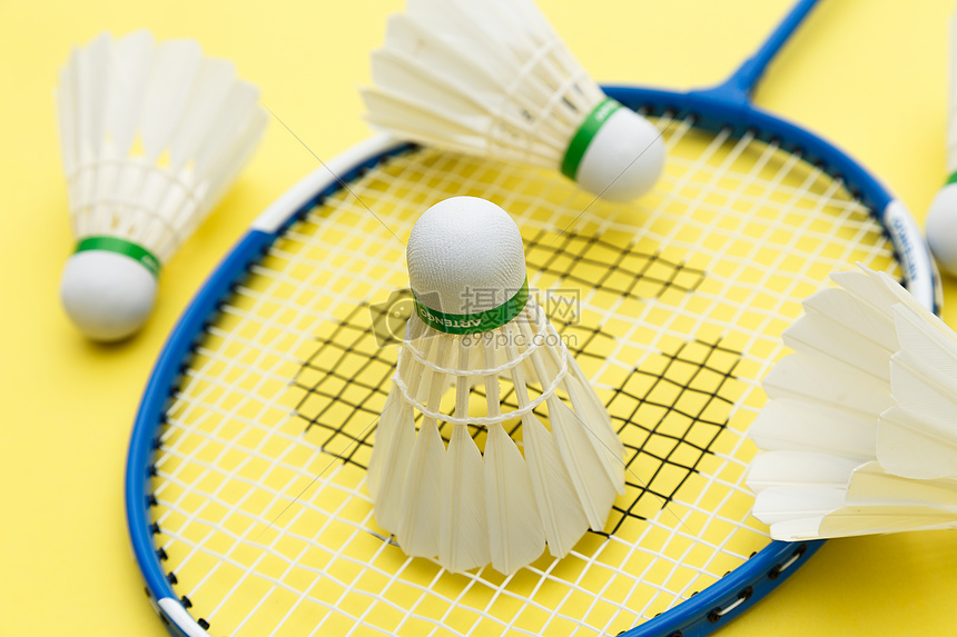 篮网双向合 篮网双向合